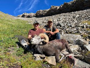 BC Stone Sheep Hunts